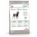 Royal Canin Mini digestive feeding of small dogs with problem gastrointestinal tract 1 kg - Buy Online on GoSupps.com