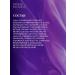 ESTEL Hair shampoo Prima Blonde blond silver 250 ml - Buy Online on GoSupps.com