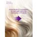 ESTEL Prima Blonde tinting hair mask 300 ml - Buy Online on GoSupps.com
