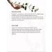 Manufactory House of Nature Dry body scrub lavender sunset natural 250 g - Buy Online on GoSupps.com