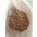 Terpa Lux Feed for fish of aquarium cichlid sticks 50 g - Buy Online on GoSupps.com