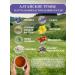Altay Seligor Herbal tea "with diabetes" 3 packs - Buy Online on GoSupps.com