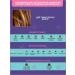 irida Shampoo tinted for hair coloring - Buy Online on GoSupps.com