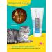 Le Artis Hypoallergenic champane for cats - Buy Online on GoSupps.com