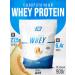 2SN Protein Whey Protein Wede Melon 900g