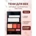 ushas Eye makeup shadows t 01