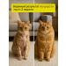 HOWL Salmon oil for cats and dogs fish oil 250ml - Buy Online on GoSupps.com