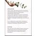 Crimean herbalist Piling of face slides with fruit acids against wrinkles - Buy Online on GoSupps.com