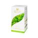 HYLEYS Green tea with mint 25 packs - Buy Online on GoSupps.com