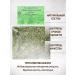 Sage Cuff ordinary grass 50 g Healing herbs - Buy Online on GoSupps.com