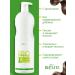 Belita Shampoo for Professional Line professionals - Buy Online on GoSupps.com