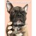 ZOORIK Shampoo for dogs and cats hypoallergenic 500 ml - Buy Online on GoSupps.com