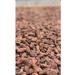 Cacao Pepa de Oro Cocoa Bobs raw selected Arriba Nacional Ecuador 1000g - Buy Online on GoSupps.com