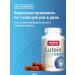 Jarrow Formulas Lutein with zeaxantin vitamins for the eyes 60 cap - Buy Online on GoSupps.com
