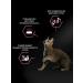 PRO PLAN Dry food for digestion with lamb 3 kg - Buy Online on GoSupps.com