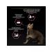 PRO PLAN Dry food for sterilized cats with chicken 400 g - Buy Online on GoSupps.com