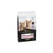 PRO PLAN Dry food for kittens for digestion with a turkey 10 kg - Buy Online on GoSupps.com