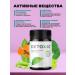Hendel's Garden Fat burner for weight loss of women and men Detoxic capsules - Buy Online on GoSupps.com