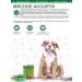 Fourlegged Gourmet Puppy food for moist aid assorted beef 340 g 12 pcs - Buy Online on GoSupps.com