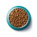 Nestle Purina One Dry food for adult cats with chicken and cereals - 200 g - Buy Online on GoSupps.com