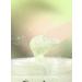 SILVER Hands and body scrub cleansing Piling Care kiwi and lime - Buy Online on GoSupps.com