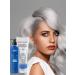 chi Silver Blonde silver shampoo shampoo for hair - Buy Online on GoSupps.com