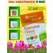 Fitokom Altai Turmeric plus dietary supplement 60 capsules - Buy Online on GoSupps.com