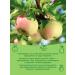 Gardens of Pridonya Apple-apple-grunt-slywa 120g from 5 months (12pcs) - Buy Online on GoSupps.com