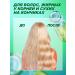Garnier Hair shampoo for oily scalp - Buy Online on GoSupps.com