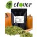 CLEVEROIL Pumpkin seeds purified 500 grams