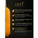 diverse Contractor shampoo and shower gel LAPE 300 ml with a dispenser - Buy Online on GoSupps.com