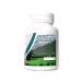 Pantogorye "Immunopant" general strengthening (60 capsules) 1 - Buy Online on GoSupps.com