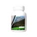 Pantogorye Vitamins for athletes OLIMPANT WITH PAN MARAL 1 SU - Buy Online on GoSupps.com
