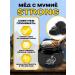 Honey of the Mamdeev family Honey with mummy Strong double mumiyo - Buy Online on GoSupps.com