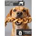FOR RODENT DOG Dog delicities ram root (pigtail) 3 pieces - Buy Online on GoSupps.com