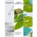 farmstay SUN -faceting facial faces SPF 50 for tanning Korea - Buy Online on GoSupps.com