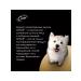 CESAR Dog feed 85 g 28 pcs - Buy Online on GoSupps.com