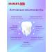 LACALUT Toothpaste Aktiv protection gums strengthening enamel 75 ml - Buy Online on GoSupps.com