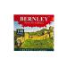 BERNLEY Green tea in bags 100 pieces - Buy Online on GoSupps.com
