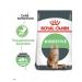 ROYAL CANIN Dry digestive food for cats 10 kg - Buy Online on GoSupps.com
