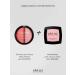 LavelleCollection Face blush dry palette blush matt ose - Buy Online on GoSupps.com