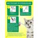Propets Plucodroter Veterinary syringe for cats and dogs - Buy Online on GoSupps.com