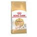ROYAL CANIN Adult cat food sphinx 10kg - Buy Online on GoSupps.com
