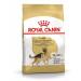 ROYAL CANIN Adult dogs of the breed German shepherd 11kg - Buy Online on GoSupps.com