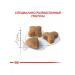 ROYAL CANIN Cat food with sensitive digestion bird 1.2kg - Buy Online on GoSupps.com
