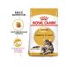 ROYAL CANIN Adult cat feed by Main Kun 2kg - Buy Online on GoSupps.com