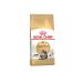 ROYAL CANIN Adult cat feed by Main Kun 2kg - Buy Online on GoSupps.com