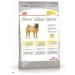 ROYAL CANIN Adult adults medium dogs with sensitive skin 10 kg - Buy Online on GoSupps.com