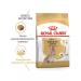 ROYAL CANIN Feed for dogs of the breed Yorkshire Terrier (from 8 years) 1.5 kg - Buy Online on GoSupps.com