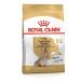 ROYAL CANIN Feed for dogs of the breed Yorkshire Terrier (from 8 years) 1.5 kg - Buy Online on GoSupps.com